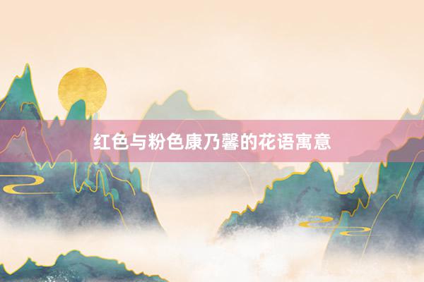 红色与粉色康乃馨的花语寓意