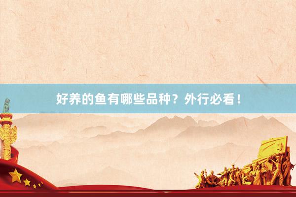 好养的鱼有哪些品种？外行必看！