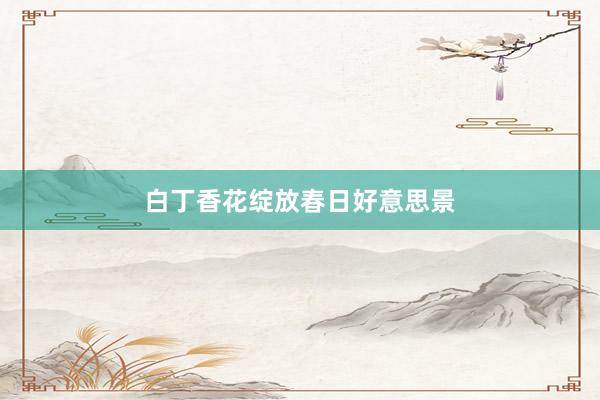 白丁香花绽放春日好意思景