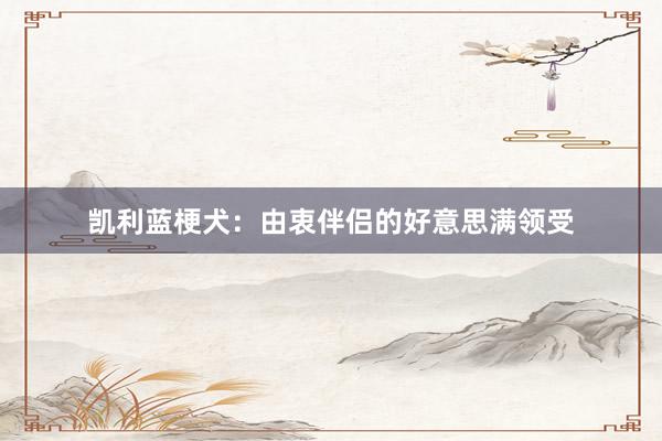 凯利蓝梗犬：由衷伴侣的好意思满领受