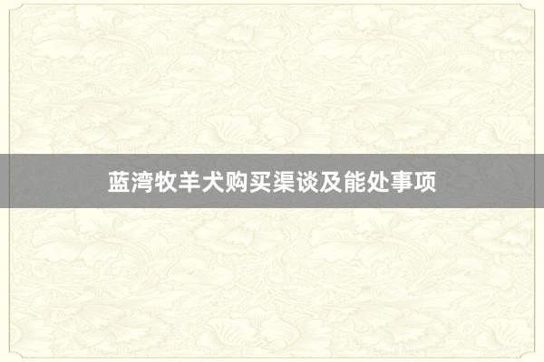 蓝湾牧羊犬购买渠谈及能处事项