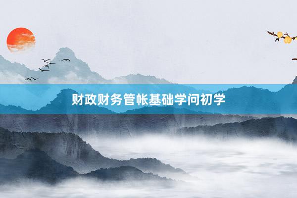 财政财务管帐基础学问初学